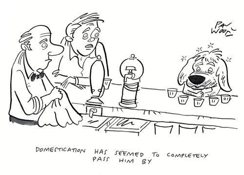 "Domestication has seemed to completely pass him by."
