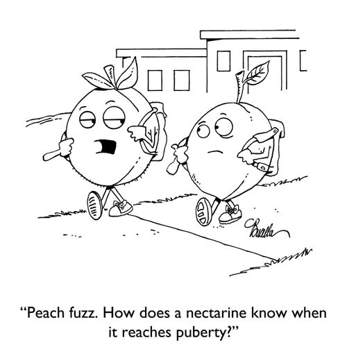 "Peach fuzz. How does a nectarine know when it reaches puberty?"