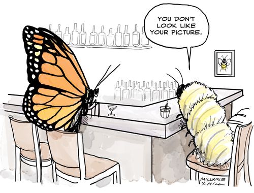 "You don't look like your picture."