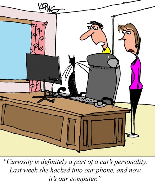 "Curiosity is definitely a part of a cat's personality. Last week she hacked into our phone, and now it's our computer."