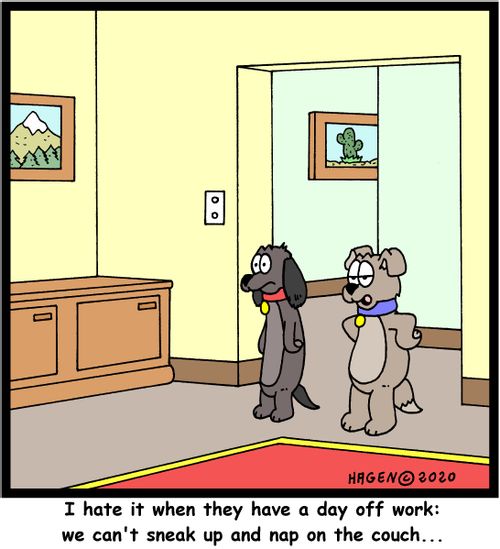 "I hate it when they have a day off work: we can't sneak up and nap on the couch..."