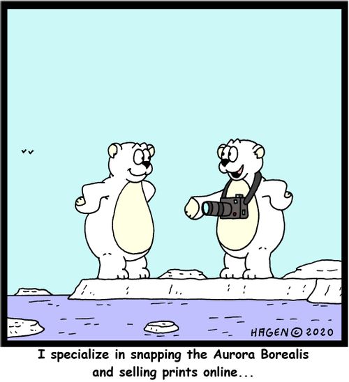 "I specialize in snapping the Aurora Borealis and selling prints online..."