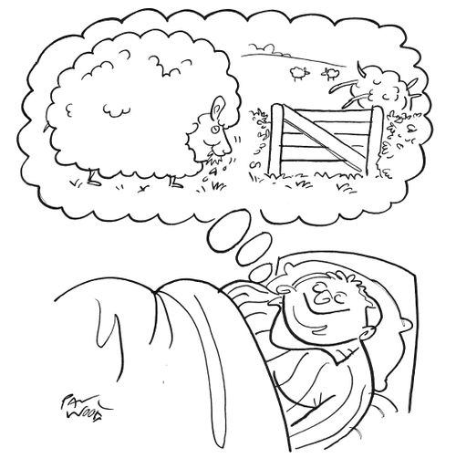 Sheep eating dreamer