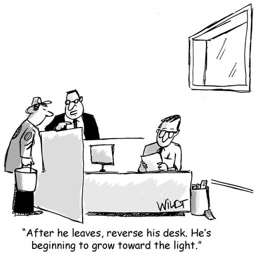"After he leaves, reverse his desk. He's beginning to grow toward the light."