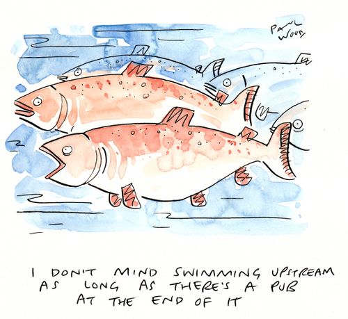 "I don't mind swimming upstream as long as there's a pub at the end of it."