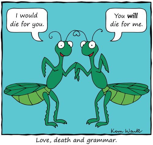 Love, death and grammar. 