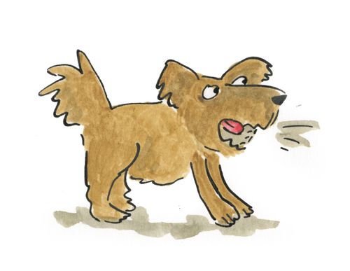 Dog