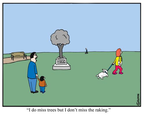 "I do miss trees but I don't miss the raking."