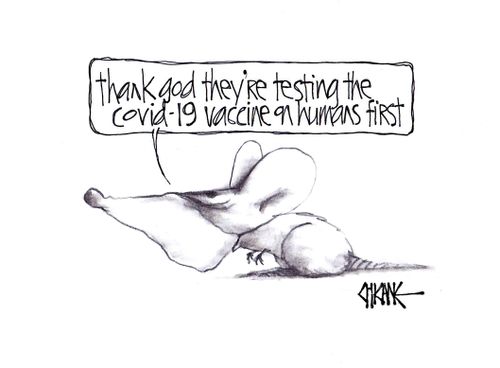 "Thank god they're testing the COVID-19 vaccine on humans first."