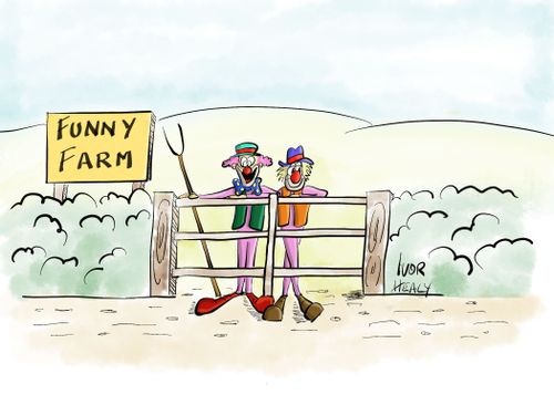 Funny Farm