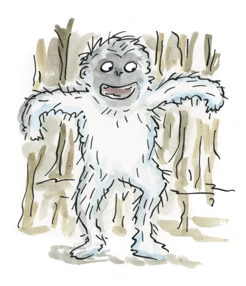 Yeti