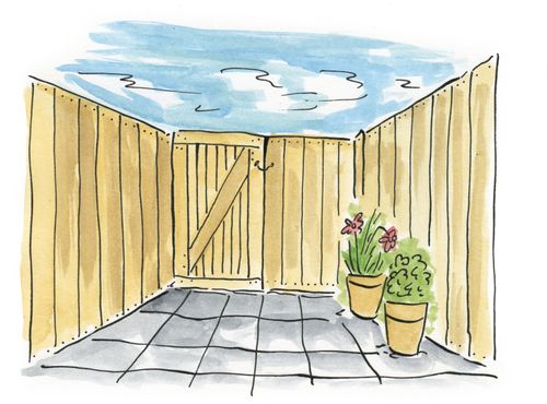 Back Yard