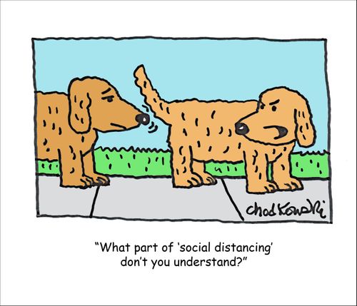 Social Distancing Common Sense