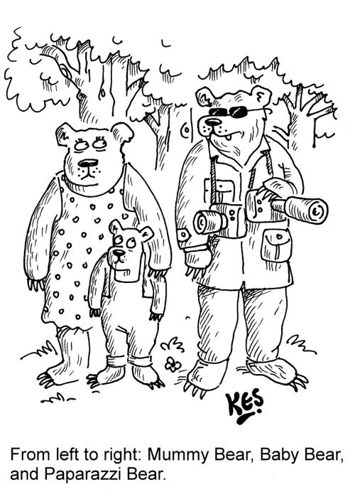 From left to right: Mummy Bear, Baby Bear, and Paparazzi Bear.