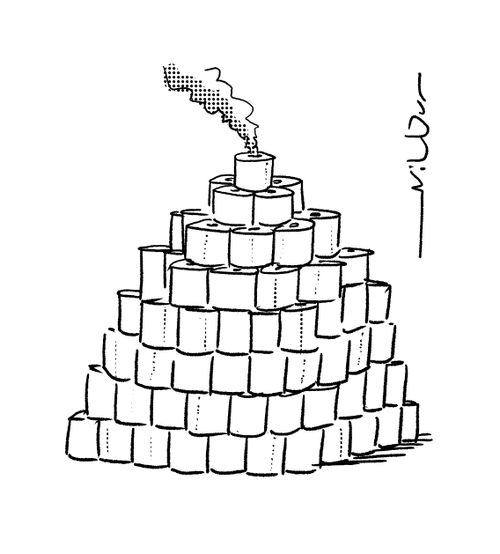 Toilet Roll House