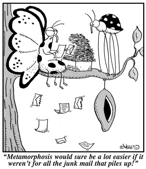 "Metamorphosis would sure be a lot easier if it weren't for all the junk mail that piles up!"