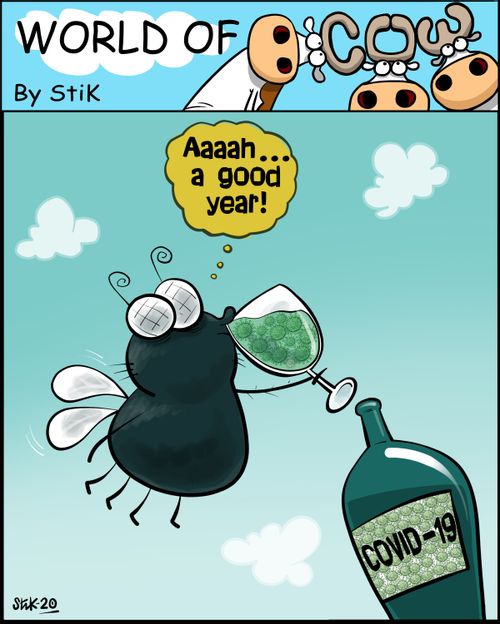 "Aaaah...a good year!"
