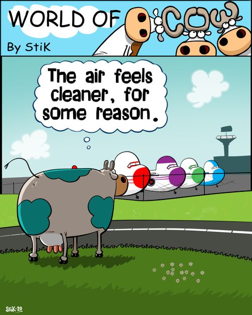 "The air feels cleaner, for some reason."