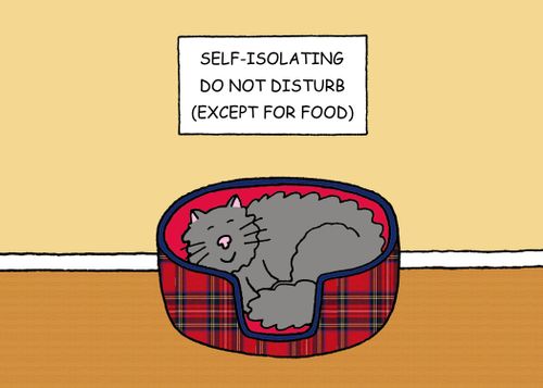 Self-Isolating. Do Not Disturb (Except For Food).