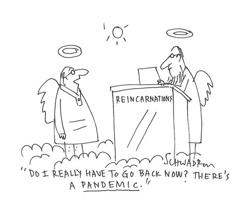 "Do I really have to go back now? There's a pandemic."