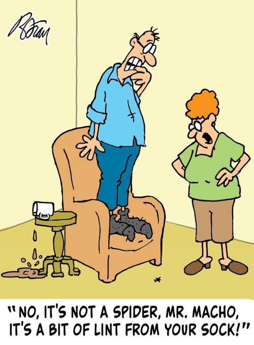 "No, it's not a spider, Mr. Macho, it's a bit of lint from your sock!"