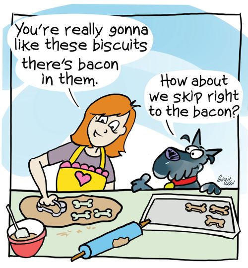 "You're really gonna like these biscuits, there's bacon in them."