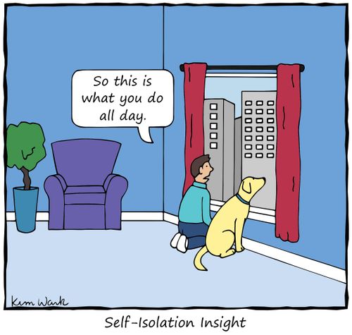 Self-Isolation Insight