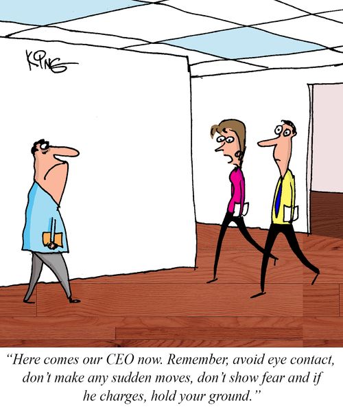 "Here comes our CEO now. Remember, avoid eye contact, don't make any sudden moves, don't show fear and if he charges, hold your ground."