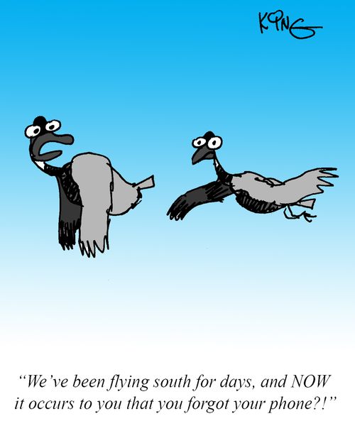 "We've been flying south for days, and NOW it occurs to you that you forgot your phone?!"