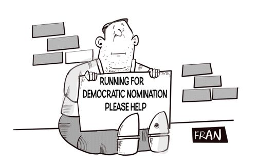 Running for Democratic nomination please help.