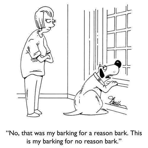"No, that was my barking for a reason bark. This is my barking for no reason bark."