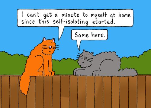 "I can't get a minute to myself at home since this self-isolating started."