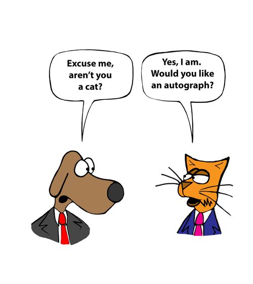 "Excuse me, aren't you a cat?"