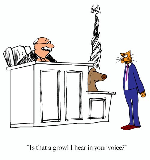 "Is that a growl I hear in your voice?"