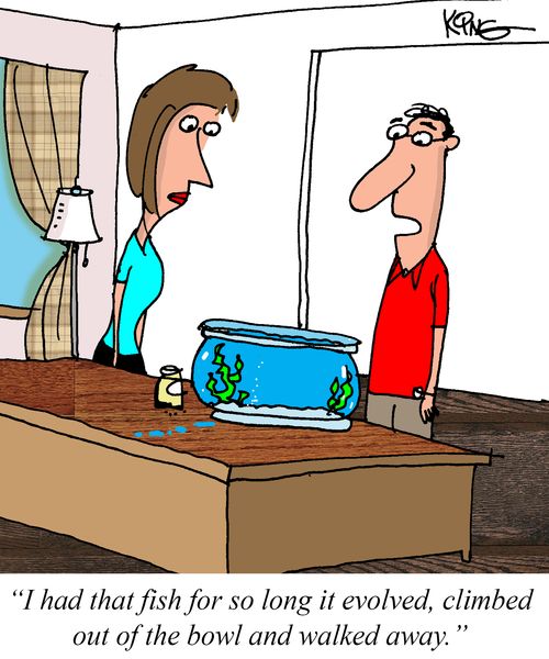 "I had that fish for so long it evolved, climbed out of the bowl and walked away."