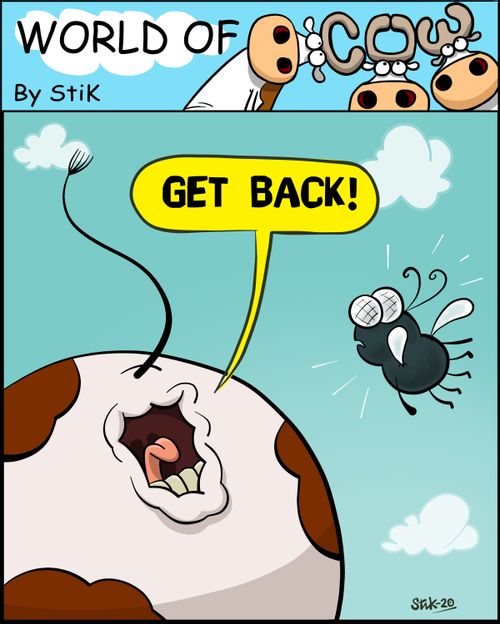 Get back!