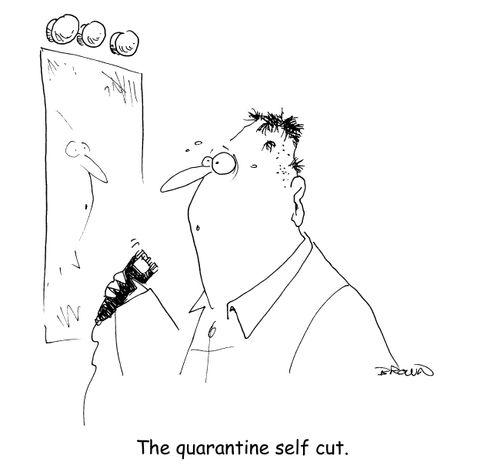 The quarantine self cut.