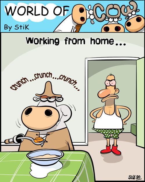 Working from home...