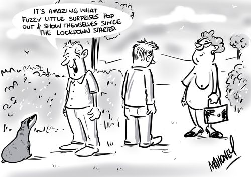 "It's amazing what fuzz little surprises pop out and show themselves since the lockdown started."