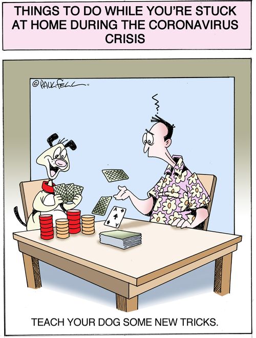 Things to do while you're stick at home during the coronavirus crisis...