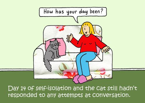 Day 14 of self-isolation and the cat still hadn't responded to any attempts at conversation.
