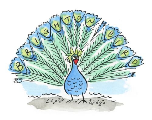 Brighton Bird