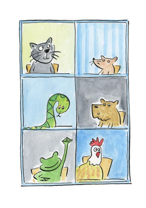 Zoom