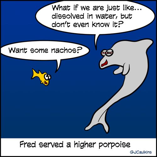 Fred served a higher porpoise