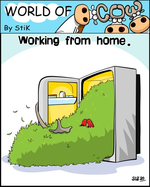 Working from home