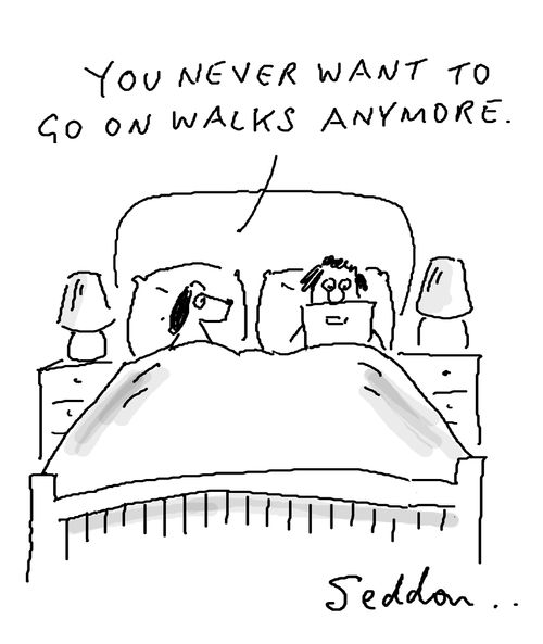 "You never want to go on walks anymore."