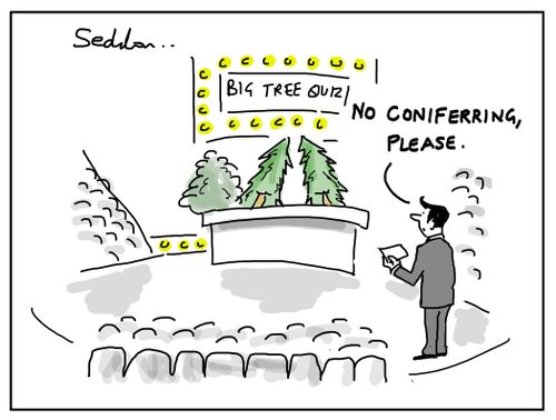 "No conifering, please."