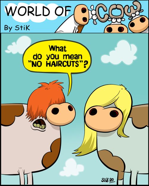 "What do you mean 'NO HAIRCUTS'?"