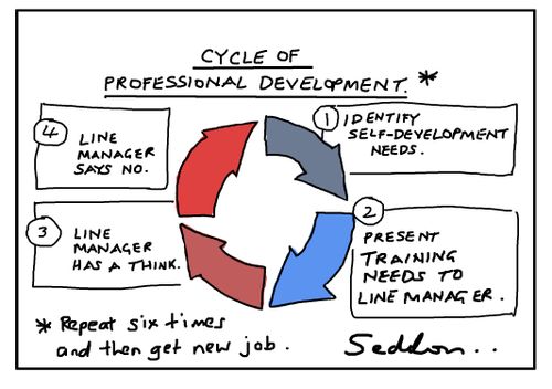 Cycle of Professional Development