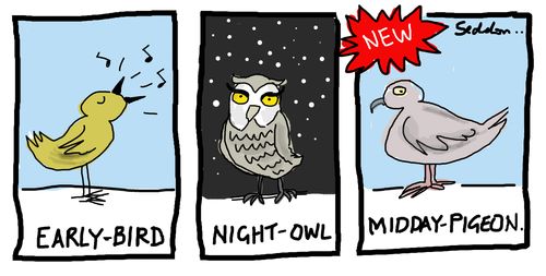 Early-bird, Night Owl and Midday Pigeon.